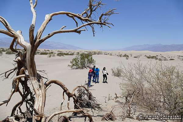 灼熱のデスバレー国立公園