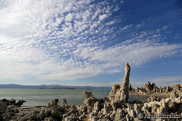 ピンク色に輝くモノレイク・トゥファ州立自然保護区