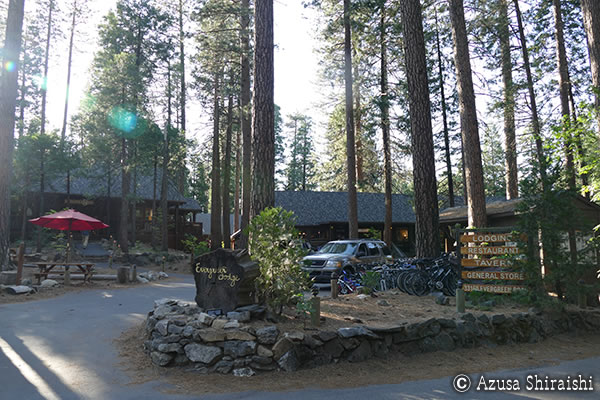 ヨセミテ国立公園