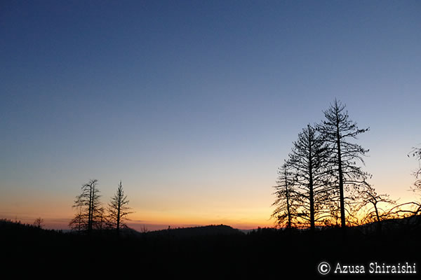 ヨセミテ国立公園