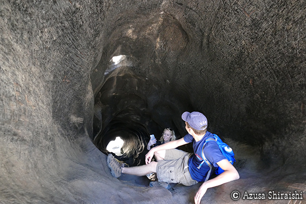 キングスキャニオン国立公園＆セコイア国立公園