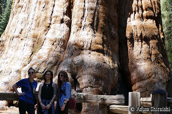 キングスキャニオン国立公園＆セコイア国立公園
